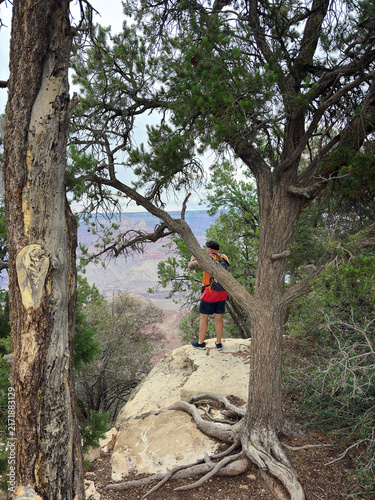Obraz na płótnie A man standing on a rocky precipice framed by rugged pine trees, capturing a photo of a breathtaking canyon vista with his phone amidst a peaceful forest environment