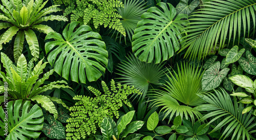 Nature background image