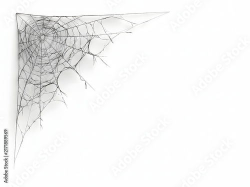 Intricate Abstract Network of Lines Forming a Delicate Face in a Minimalist Monochrome Composition