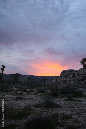 Joshua tree silhouette against a vivid orange sunset beside a granite boulder pile, Joshua Tree National Park, California