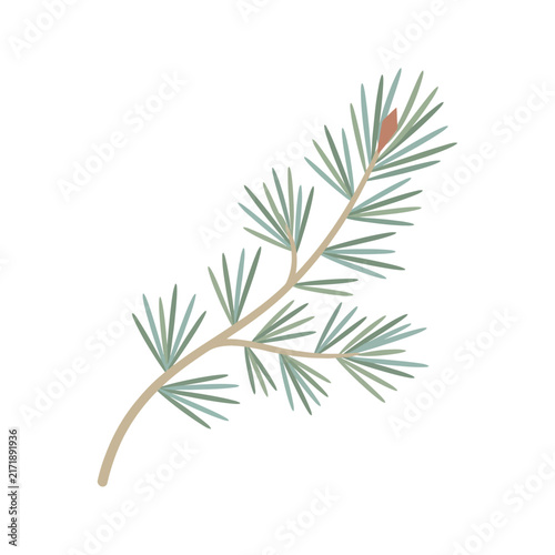 Christmas Day, Minimalist pine branch vector, hand drawn evergreen conifer sprig, botanical fir needle illustration for winter decor isolated on White Background