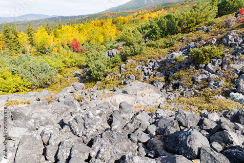 Fotografía 十勝岳望岳台のガレ場（秋の北海道）