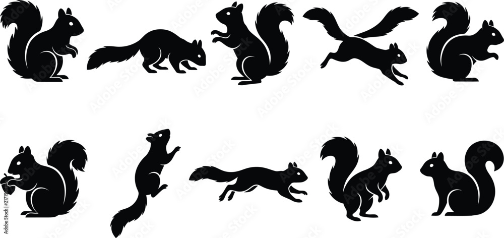 Fototapeta premium Set of black silhouettes of squirrels in various poses isolated on a white background