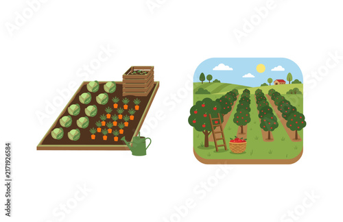 Quadro su tela Flat Design Illustration Set Featuring a Vegetable Garden Plot and a Fruit Orcha
