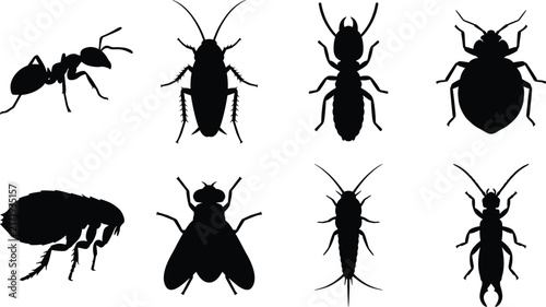 Fotografie Household Pest Insect Silhouette Icon Set