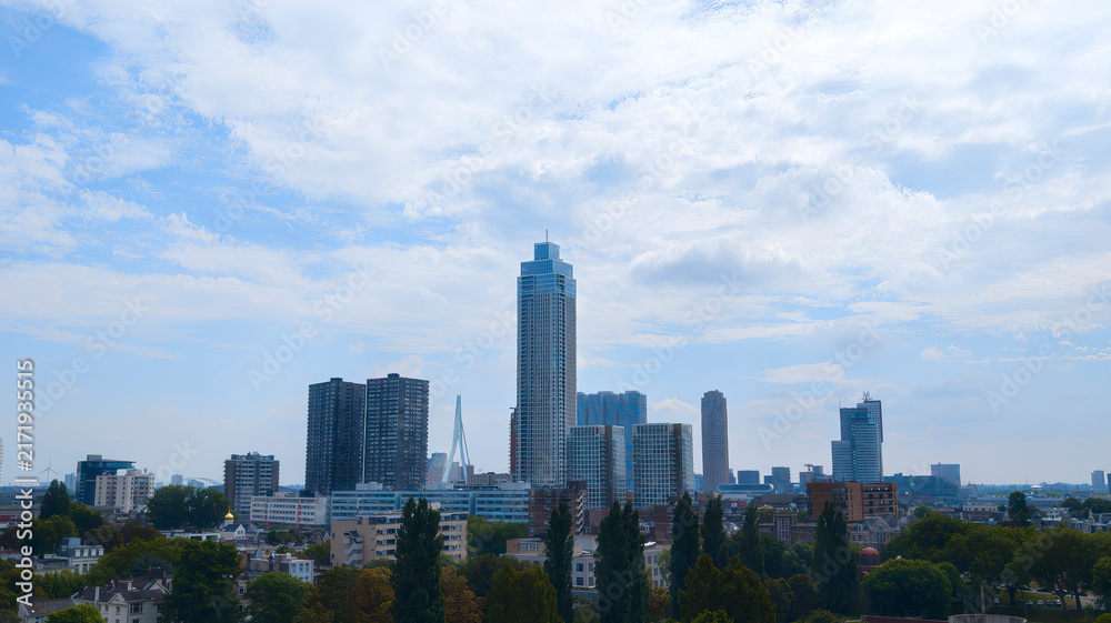 Fototapeta premium skyline rotterdam with the highest tower with appartements