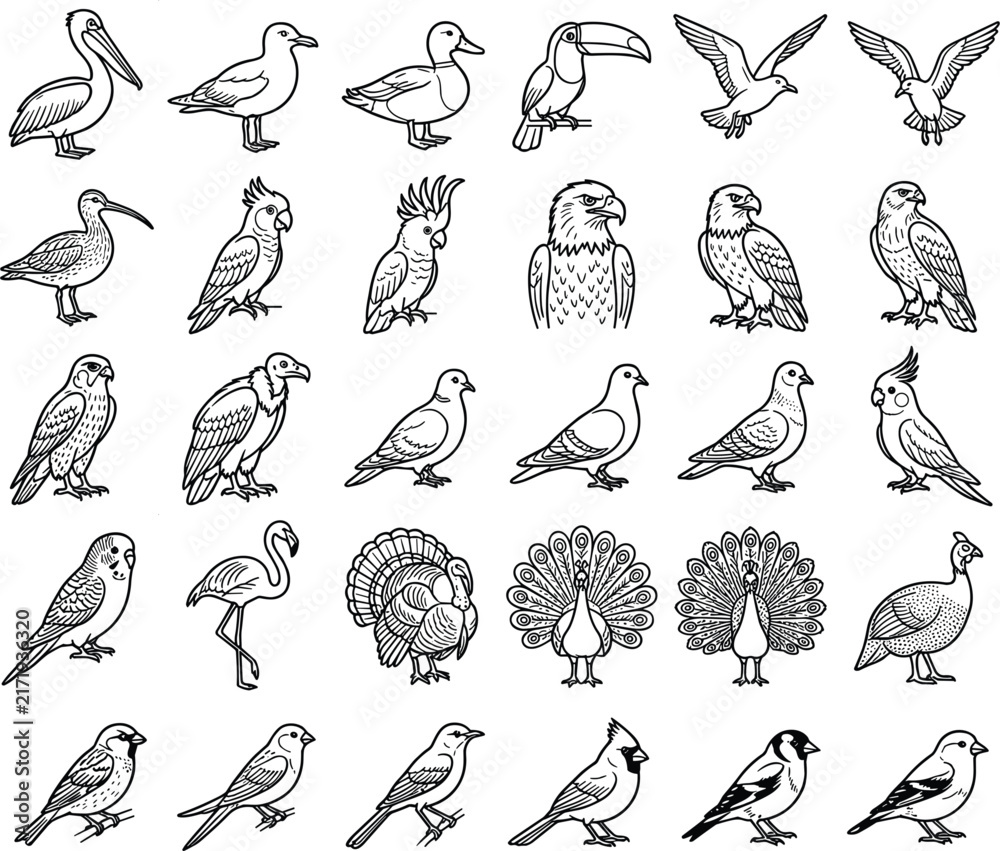 Naklejka premium Wild birds species set featuring eagle parrot toucan duck flamingo peacock turkey pigeon falcon seagull collection graphics