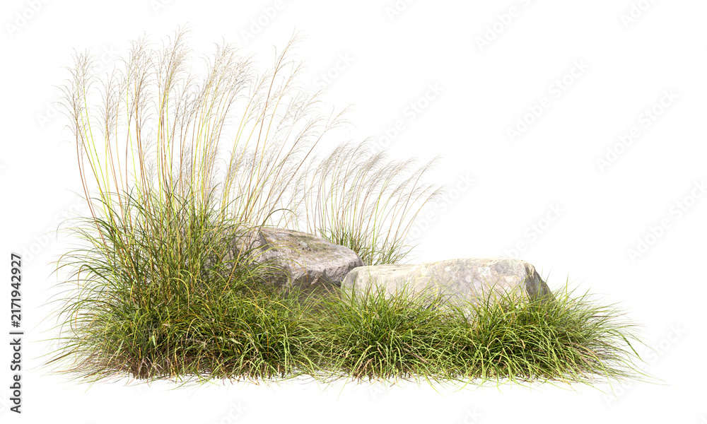 Fototapeta premium Wilderness natural prairie with rocks cut-out backgrounds 3d rendering png