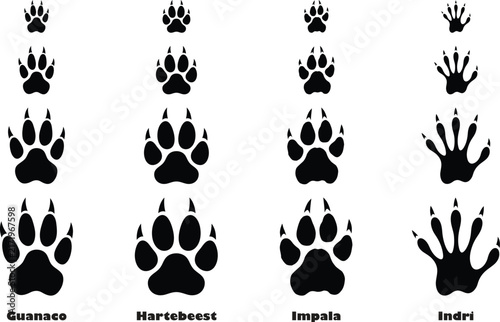 Canvastavla Set of animal paw prints including guanaco, hartebeest, impala, and indri tracks