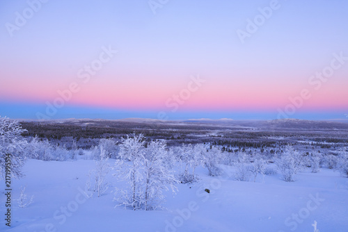 Quadro su tela Wide winter panorama near Kiruna, Sweden, where snowy forests