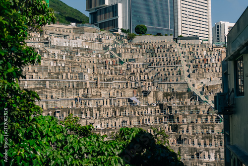 фотографія Chinese Christian Cemetery in Pok Fu Lam with Queen Mary Hospital visible in the background on Hong Kong Island, Hong Kong - 27 August 2026