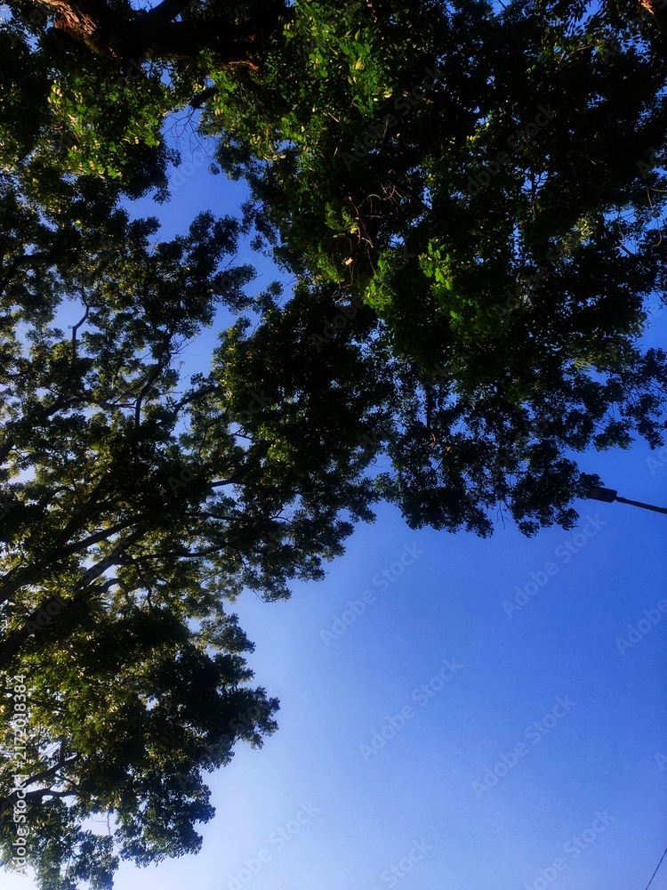 image to crop