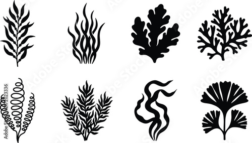 Collection of seaweed kelp and marine algae underwater plant black silhouettes isolated on white