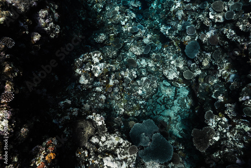 Aerial view of a tropical coral reef and underwater ravine
