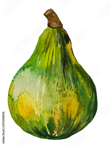 Obraz na płótnie Hand-painted watercolor illustration of a green pear-shaped pumpkin with yellow