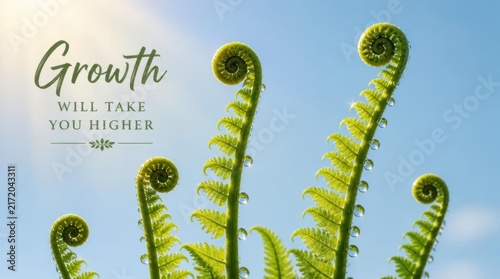 Close up of green unfurling fern fronds with clear water droplets reaching towards a bright blue sky with sunlight and text saying Growth Will Take You Higher.