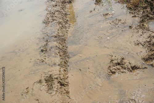 Bild auf Leinwand Close-up of freshly plowed wet muddy soil, in a waterlogged farmland in a traditional rice paddy before planting