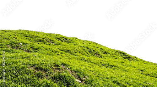Green grassy hill slope with natural textures isolated for landscape design on transparent background
