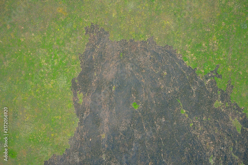 Cuadro en lienzo Green agricultural field with soil erosion and dry earth patch, abstract natural
