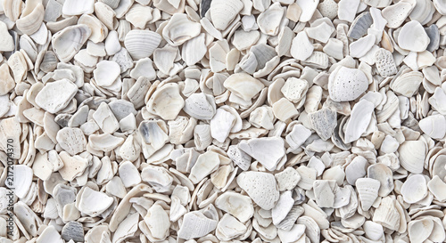 Fine crushed shell aggregate fragments with organic natural white detail