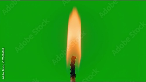 Matchstick flame burning brightly isolated on green screen chroma key background.