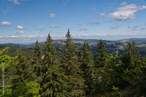 View from Quinburk castle ruins near Vrbno pod Pradedem town in Czech republic