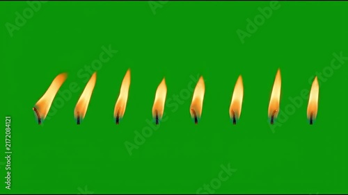 Row of eight candle flames flickering in wind on green screen background chroma key.