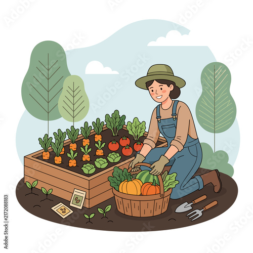 Vector flat design illustration of a female gardener harvesting vegetables in garden