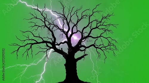 Spooky Tree Silhouette With Lightning Strike Flashes On Green Screen Background.