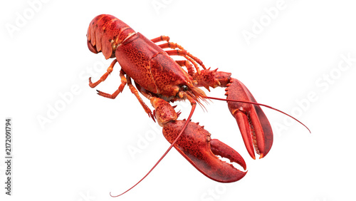 Foto Cooked red lobster or large freshwater crayfish seafood snack isolated on transp