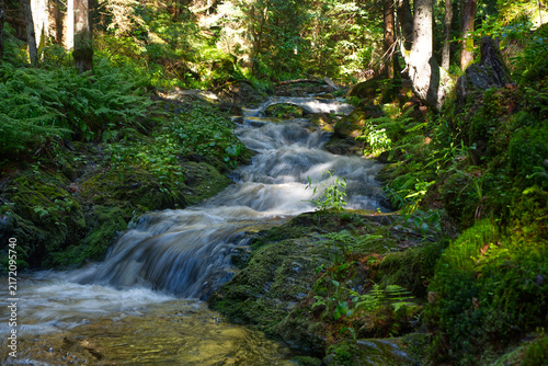 Wild Bila Opava river above Karlova Studanka in Jeseniky mountains in Czech republic