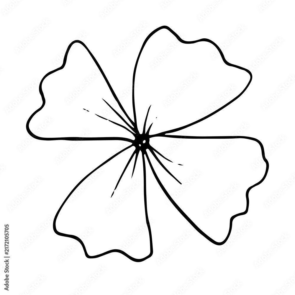 Fototapeta premium Delicate hand drawn floral sketch featuring four elegant petals depicted with clean lines on transparent background