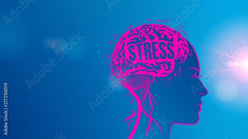 Human head profile with stress text inside a pink brain on blue, representing mental health pressure