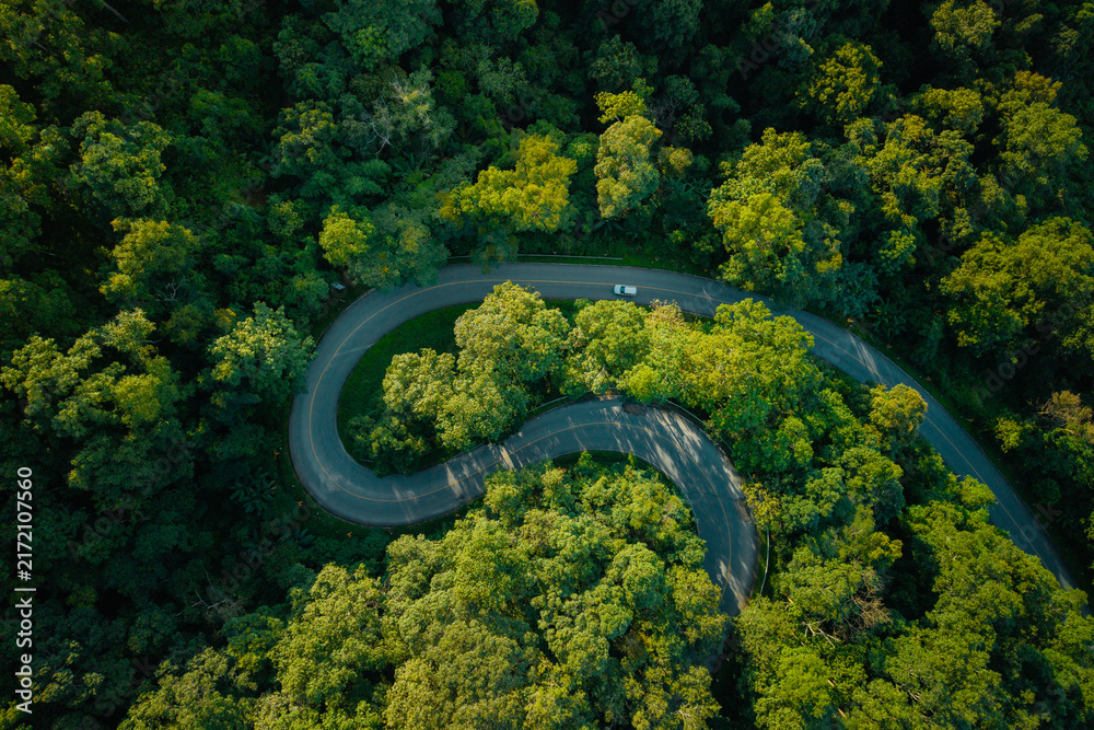 Obraz premium Aerial view of a winding road through a lush green forest with a driving car.