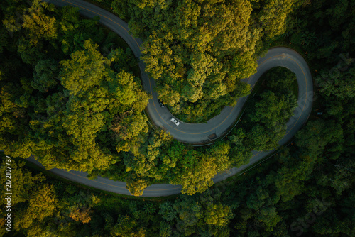 Aerial view of a winding road through a lush green forest with a driving car.