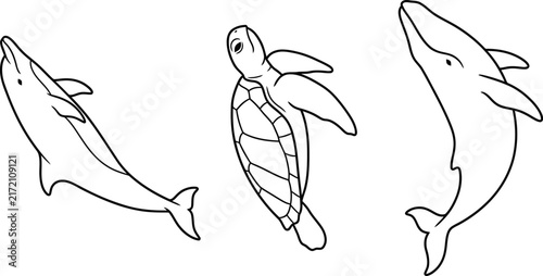 Dolphin and sea turtle swimming in clear blue ocean water against white background