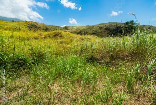 Serene rural landscape featuring lush green grass and rolling hills beneath a clear blue sky. A peaceful nature scene at the Batu Angus tourist area in Bitung, Indonesia.