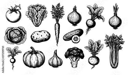 Detailed Black and White Vegetable Illustrations Tomato Carrot Beetroot and Fresh Produce