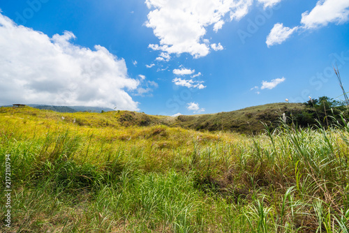 Serene rural landscape featuring lush green grass and rolling hills beneath a clear blue sky. A peaceful nature scene at the Batu Angus tourist area in Bitung, Indonesia.