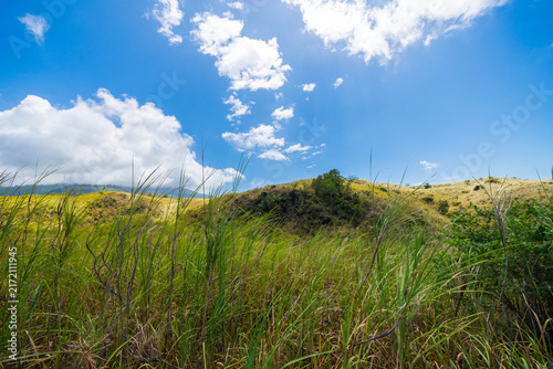 Serene rural landscape featuring lush green grass and rolling hills beneath a clear blue sky. A peaceful nature scene at the Batu Angus tourist area in Bitung, Indonesia.