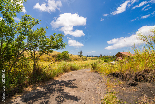 A peaceful country road winds through lush green tall grass under a bright blue sky with fluffy white clouds. A refreshing and calming rural landscape.
