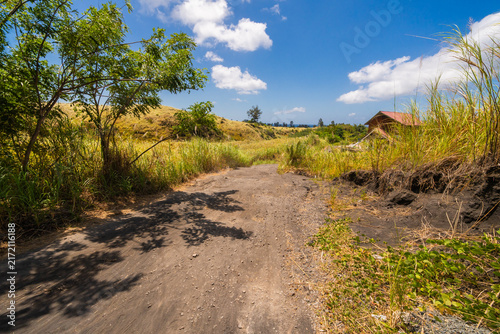 A peaceful country road winds through lush green tall grass under a bright blue sky with fluffy white clouds. A refreshing and calming rural landscape.
