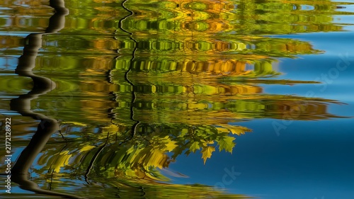 Reflection of autumn trees in calm lake water