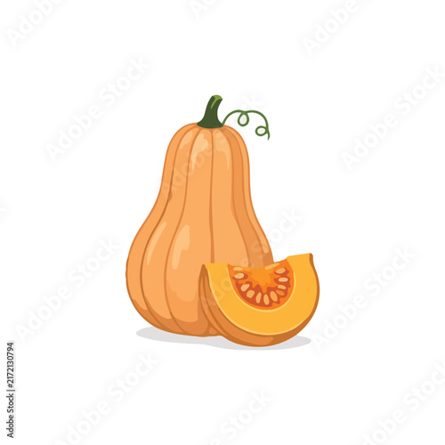 Fresh Pumpkin with Cut Half and Seeds Cartoon Vector Illustration