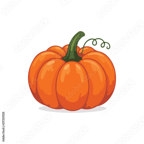 Large Bright Orange Pumpkin with Curly Vine Vector Illustration