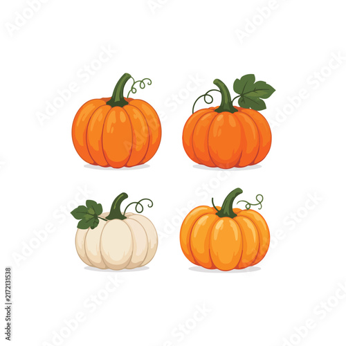 Set of Four Colorful Pumpkin Cartoon Vector Illustrations