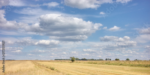 Foto A rural landscape with farm fields during harvest time, Poland.