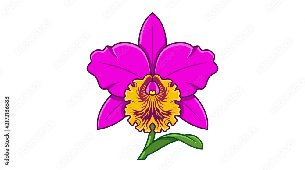Obraz premium Cattleya Orchid Flower Vector Illustration