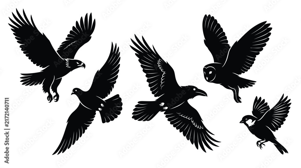 Fototapeta premium Different species of flying birds isolated on white background.