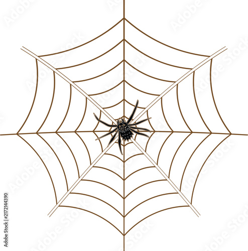 Black spider sitting in the center of a large round web